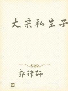 大宋私生子封面