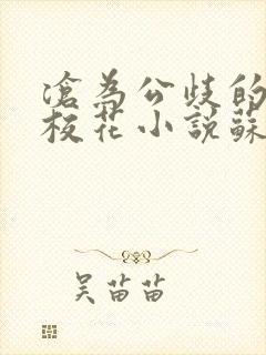 沧为公歧的清纯校花小说苏软封面