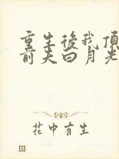 重生后我顶替了前夫白月光九九月著封面