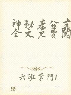 神秘老公有点坏全文免费阅读小说