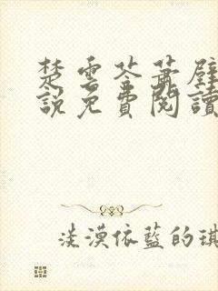 楚云苓萧壁城小说免费阅读完结正版