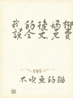 我的后妈柳姨小说全文免费阅读封面