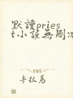 默读priest小说无删减正版在线阅读