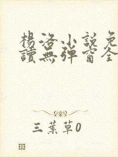 杨洛小说免费阅读无弹窗全文封面