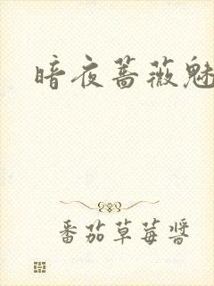暗夜蔷薇魅