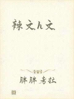 辣文h文封面