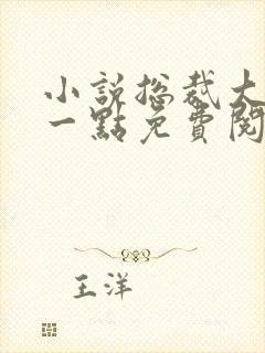 小说总裁大人轻一点免费阅读全文
