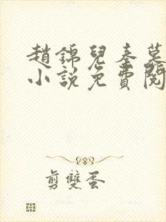 赵锦儿秦慕修的小说免费阅读封面