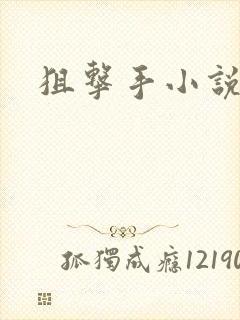 狙击手小说