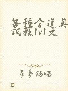 各种含道具高h调教1v1文