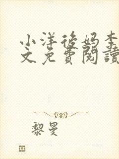 小洋后妈李韵全文免费阅读小说封面