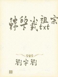 他的小祖宗甜又野下载txt