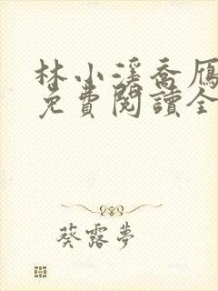 林小溪乔雁小说免费阅读全文无弹窗封面