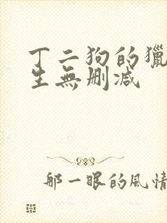 丁二狗的猎艳人生无删减