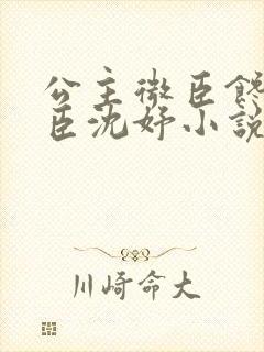 公主微臣馋了微臣沈妤小说