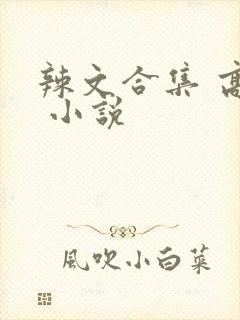 辣文合集 高h 小说封面