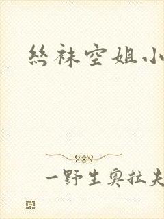 丝袜空姐小说