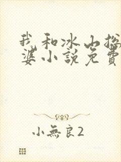 我和冰山总裁老婆小说免费