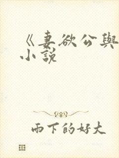 《妻欲公与媳》小说封面