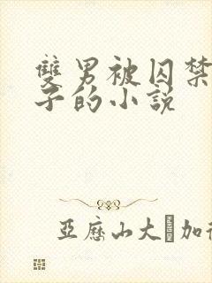 双男被囚禁还生子的小说封面
