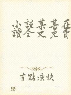 小说某某在线阅读全文免费