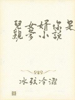 儿女婿你是妈妈亲爹小说