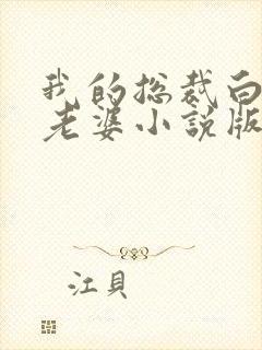 我的总裁白富美老婆小说版