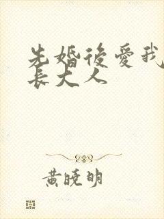 先婚后爱我的市长大人封面