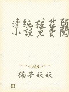 清纯校花堕落记小说免费阅读