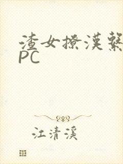 渣女撩汉系统NPC