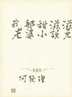 我那甜滋滋又多老婆小说免费阅读封面