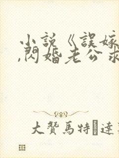 小说《误嫁豪门,闪婚老公求见面》封面