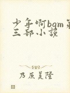 少年啊bgm第三部小说封面