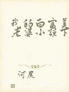我的白富美总裁老婆小说下载