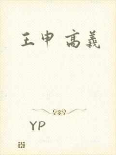 王申 高义