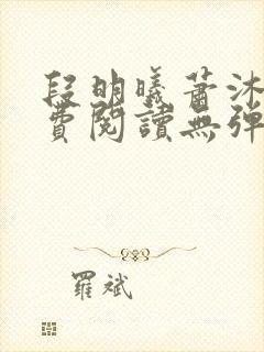 段明曦萧沐宸免费阅读无弹窗