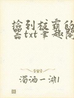 捡到校霸的遥控器txt笔趣阁