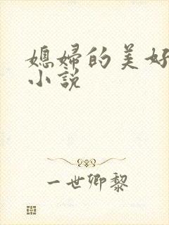 媳妇的美好时代小说封面