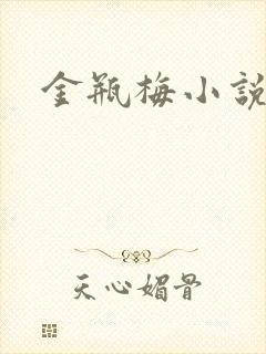 金瓶梅小说在线