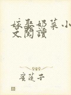嫁娶奶菜小说全文阅读封面