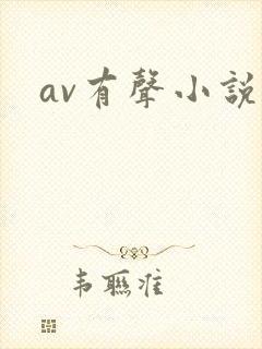 av有声小说