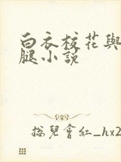 白衣校花与大长腿小说封面