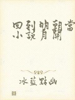 回到明朝当王爷小说月关