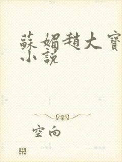 苏媚赵大宝赵勇小说