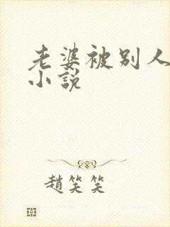 老婆被别人操的小说