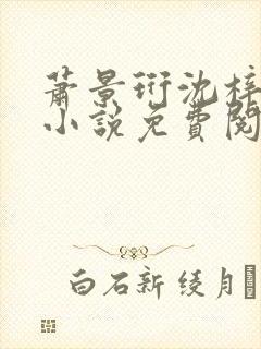 萧景珩沈梓雨的小说免费阅读全文封面