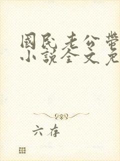 国民老公带回家小说全文免费阅读封面