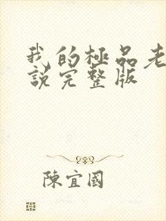 我的极品老婆小说完整版