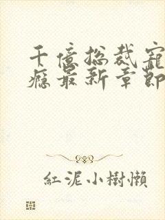 千亿总裁宠妻上瘾最新章节列表封面
