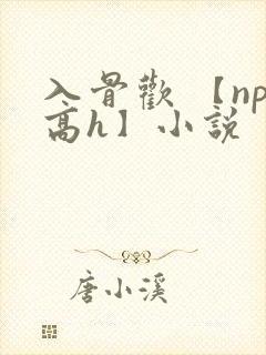 入骨欢 【np高h】小说